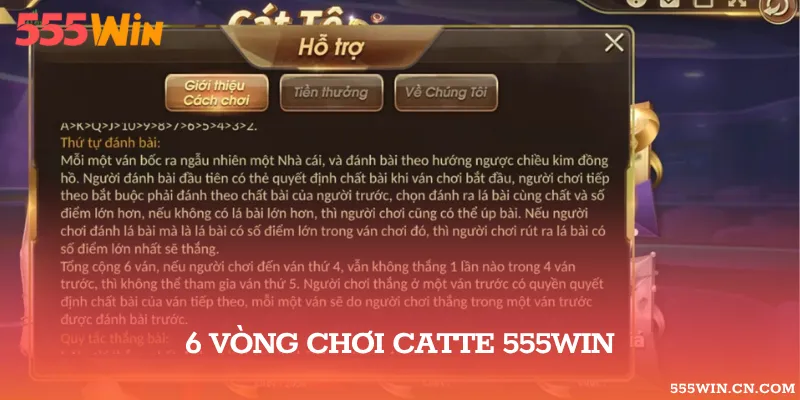 Các Vòng Đầu Và Bước Trưng