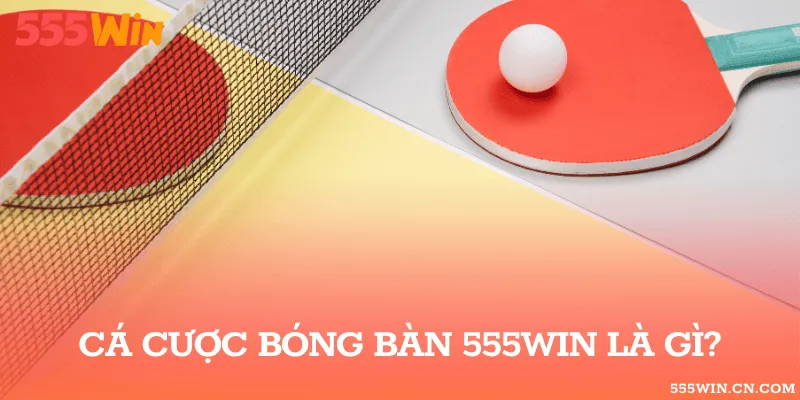 Trận Bóng Bàn Đơn Và Đôi