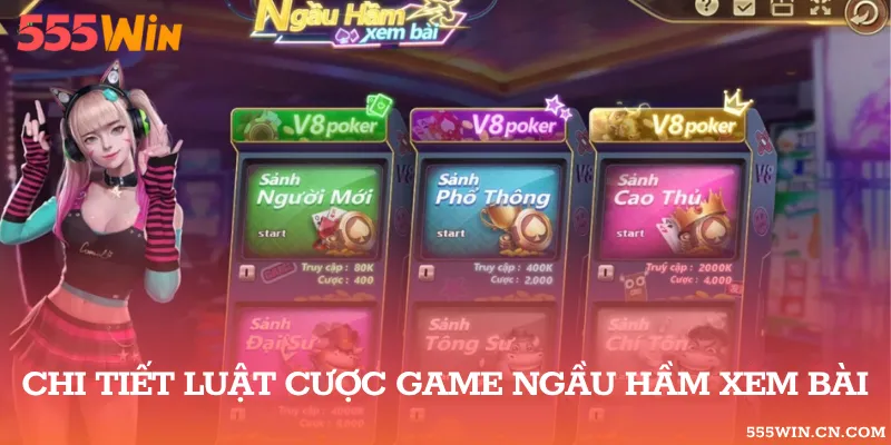 Tụ Bài Và Trình Tự Chia