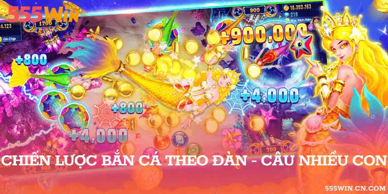 Quan Sát Mục Tiêu Theo Nhóm