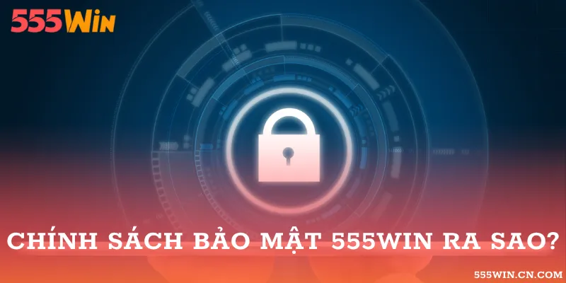 Phạm Vi Dữ Liệu Trong Chính Sách