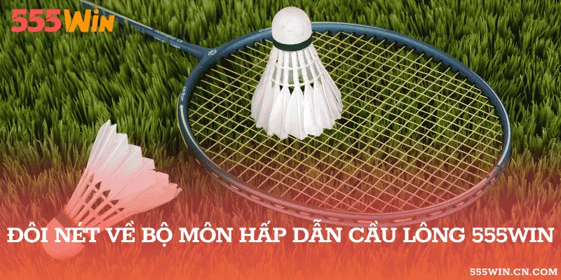 Các Phạm Vi Kết Quả Cầu Lông