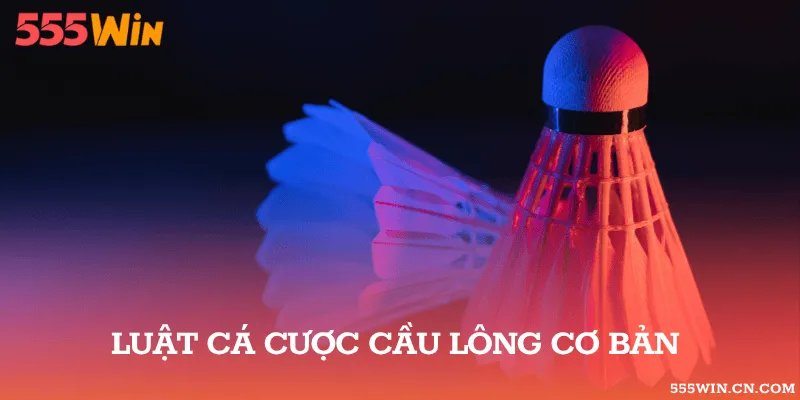 Quy Định Khi Trận Cầu Lông Thay Đổi