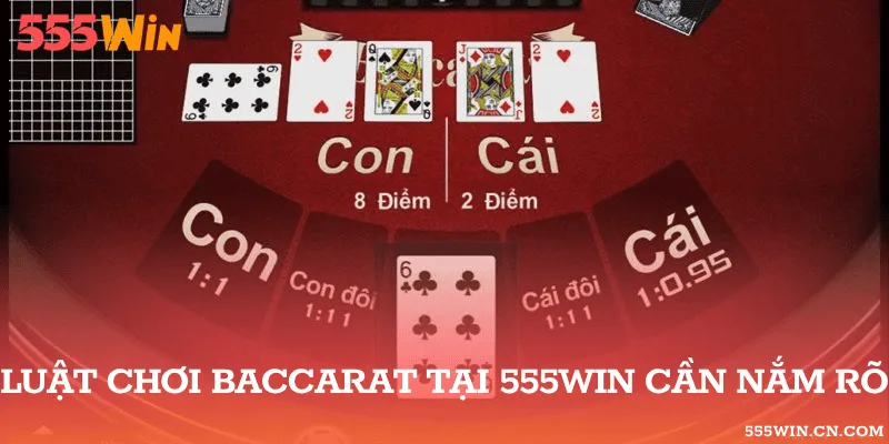 Trình Tự Chia Bài Baccarat