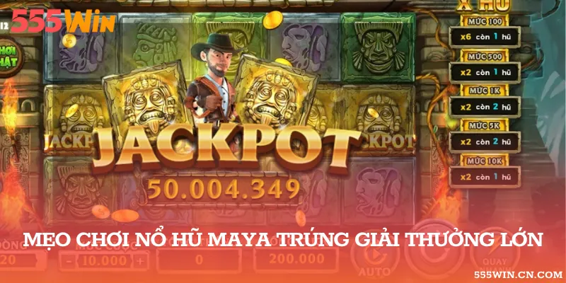 Chức Năng Và Chi Phí Của Lượt