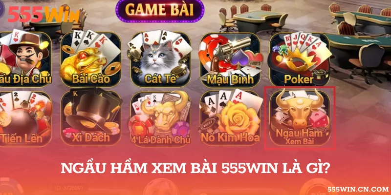 Tay Bài Ngầu Hầm Năm Lá
