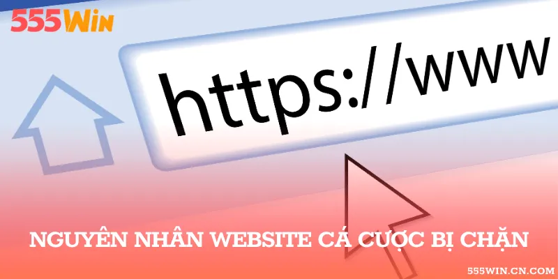 Phân Biệt Lỗi Truy Cập