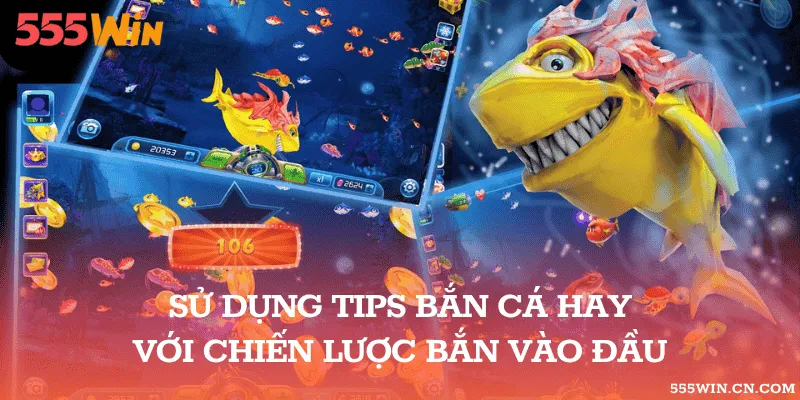 Nhắm Mục Tiêu Trong Bắn Cá