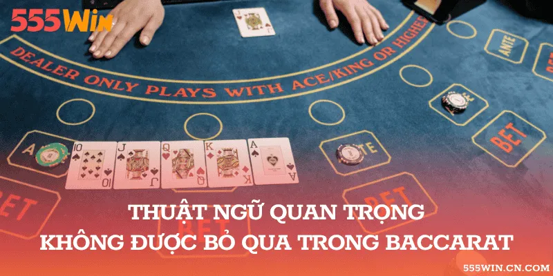 Các Cửa Chính Và Cửa Đôi