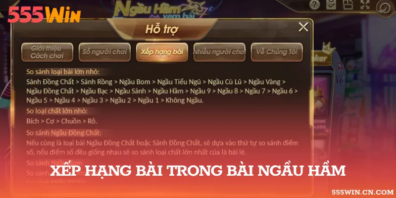Các Tiêu Chí So Bài Ngầu Hầm
